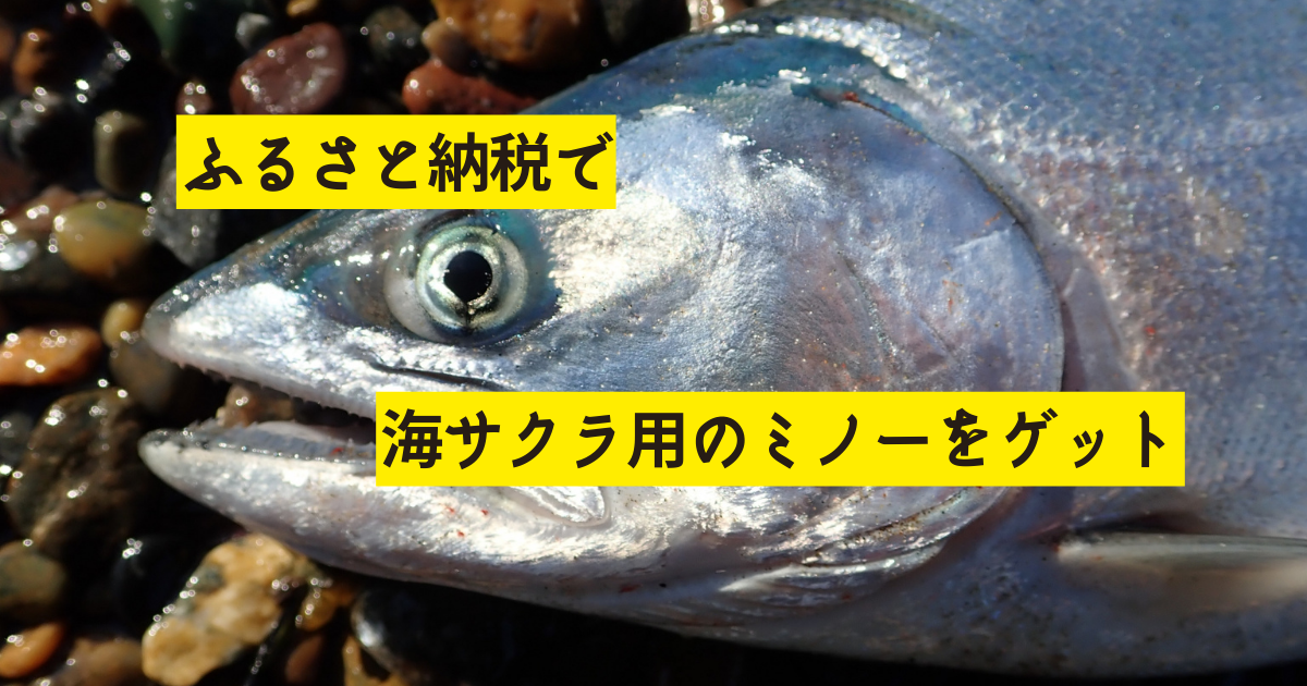 海サクラマス用ミノー IMG_3284-1-300x225.jpeg