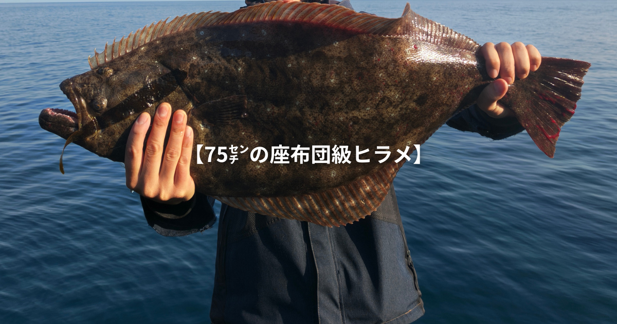 ☆神回☆【2026年開幕戦でいきなり座布団ヒラメ】 - 北海道 海釣りdiary