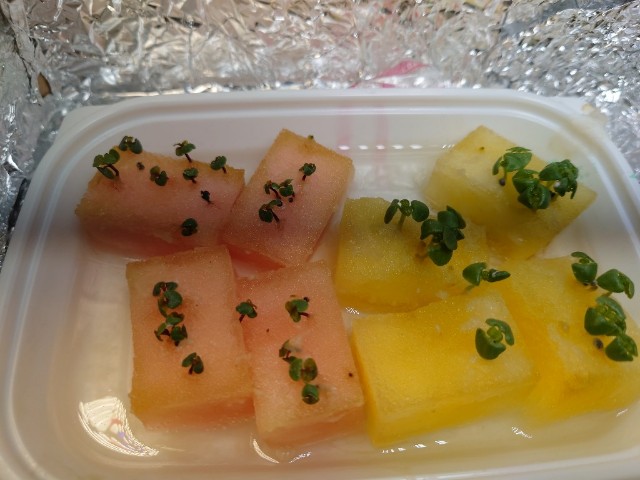 f:id:tsurifish:20230501095600j:image f:id:tsurifish:20230501095600j:image