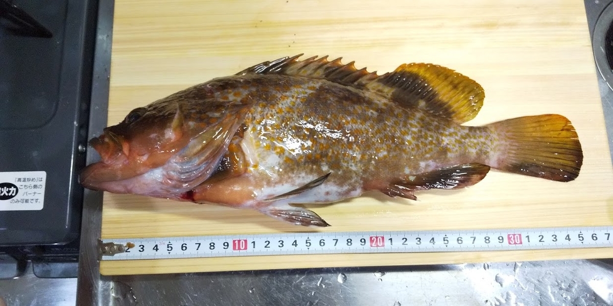 f:id:tsurikichikun:20190822140531j:plain f:id:tsurikichikun:20190822140531j:plain