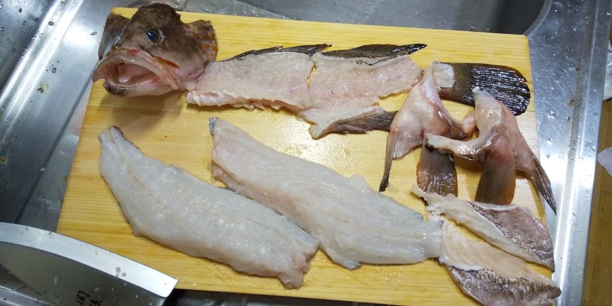 f:id:tsurikichikun:20190823213621j:plain f:id:tsurikichikun:20190823213621j:plain