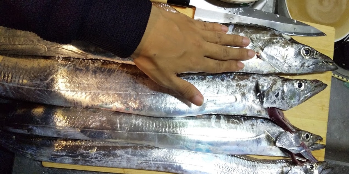 f:id:tsurikichikun:20190914005330j:plain f:id:tsurikichikun:20190914005330j:plain