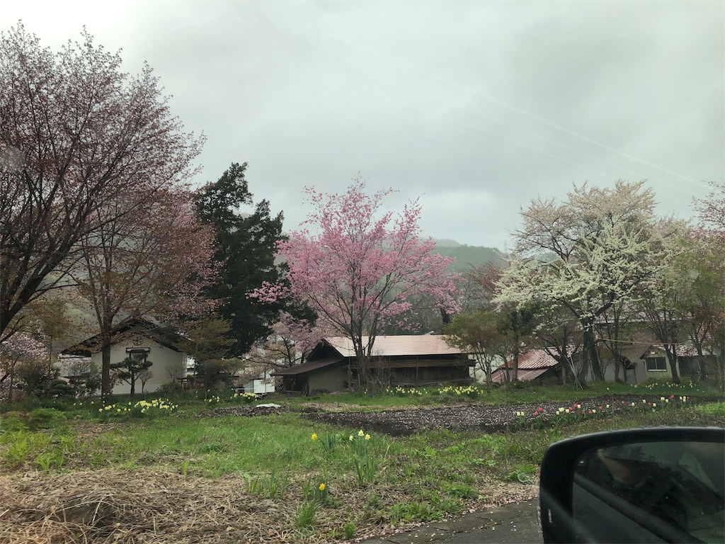 f:id:tsuripapa:20190430225927j:image f:id:tsuripapa:20190430225927j:image