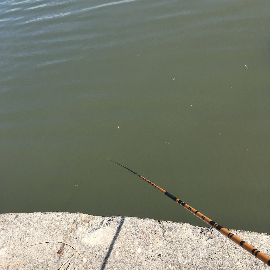 f:id:tsuritsuri:20170618003358j:image f:id:tsuritsuri:20170618003358j:image