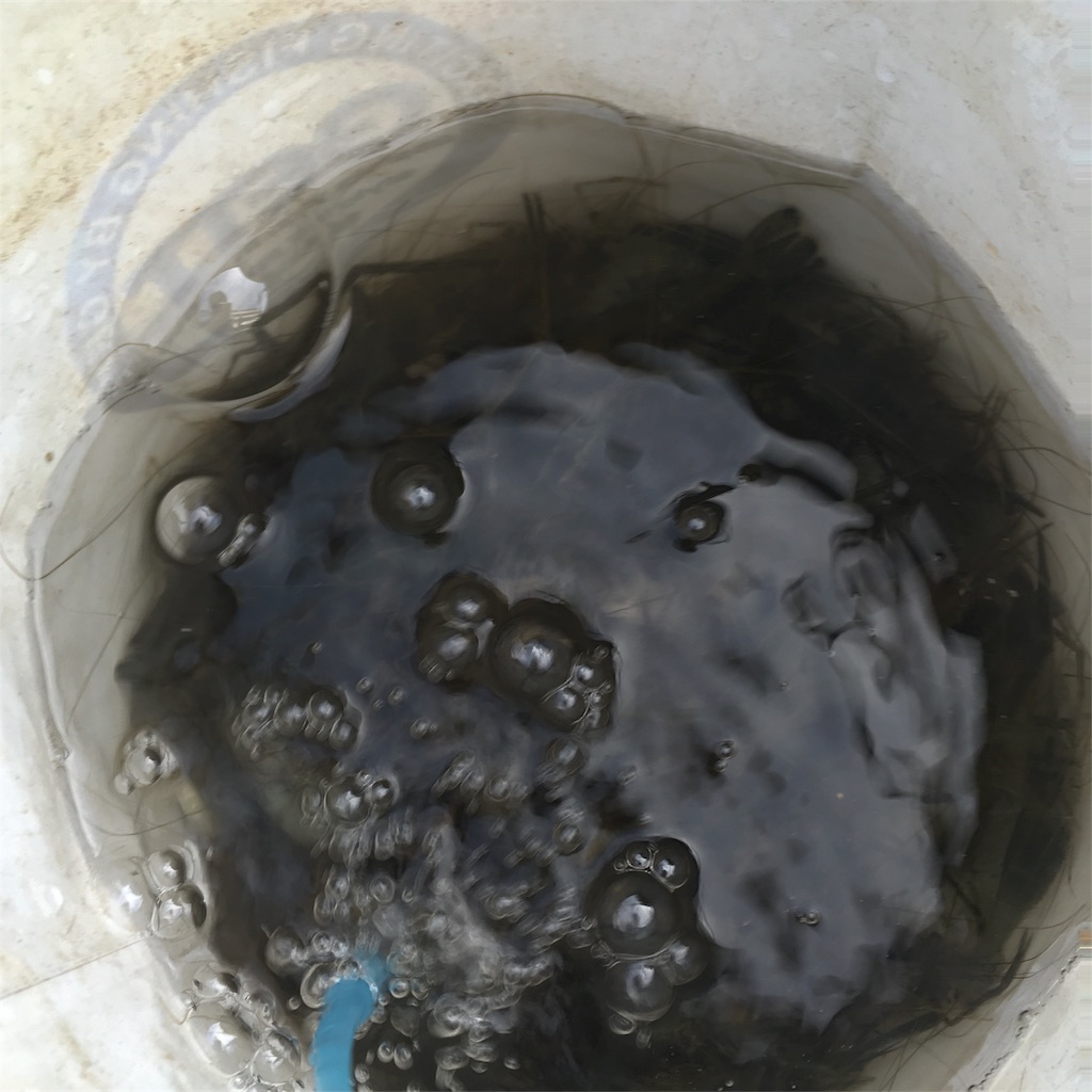 f:id:tsuritsuri:20170618003453j:image f:id:tsuritsuri:20170618003453j:image