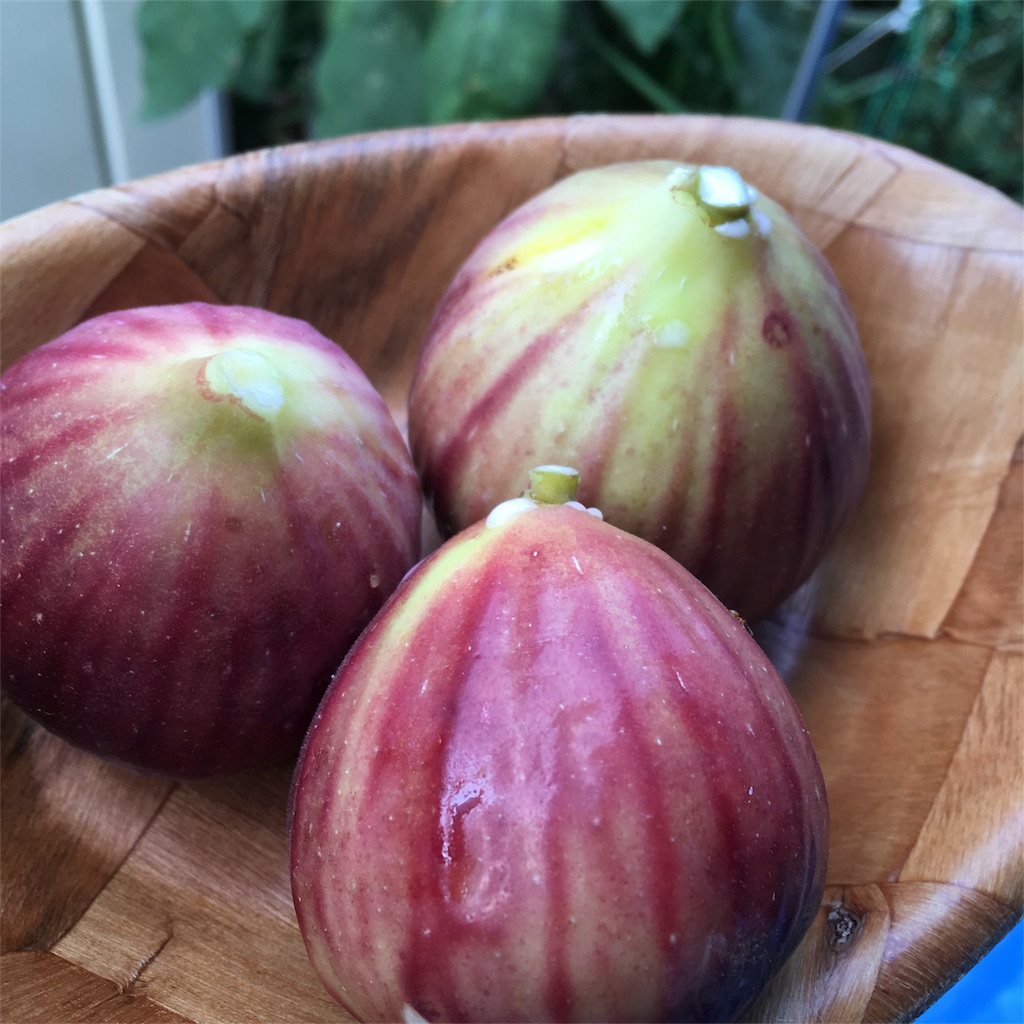 f:id:tsuritsuri:20170811004807j:image