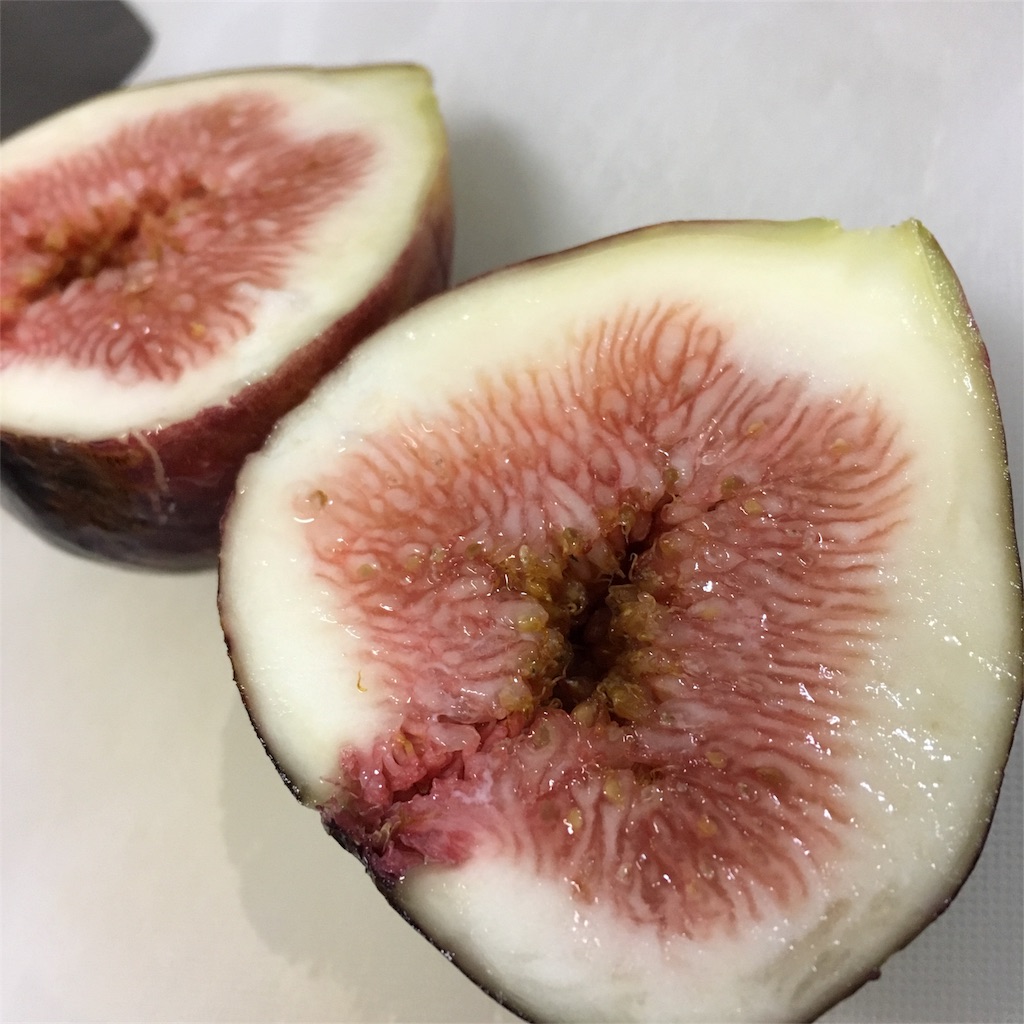 f:id:tsuritsuri:20170811004814j:image