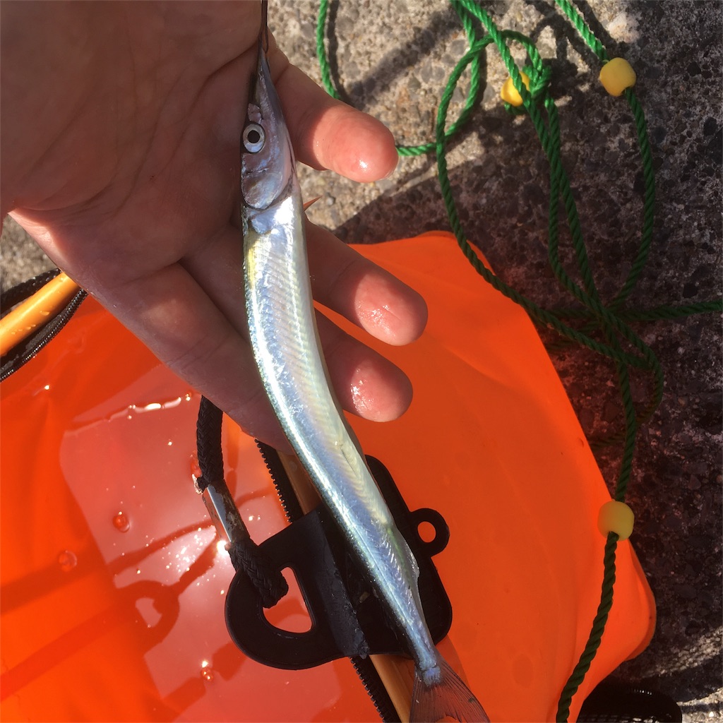 f:id:tsuritsuri:20170919214741j:image