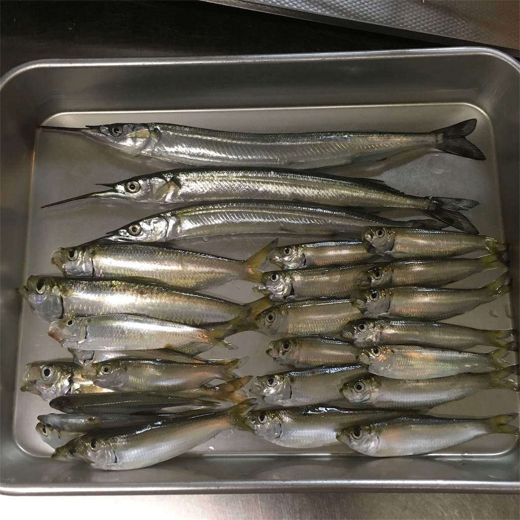 f:id:tsuritsuri:20170919214834j:plain