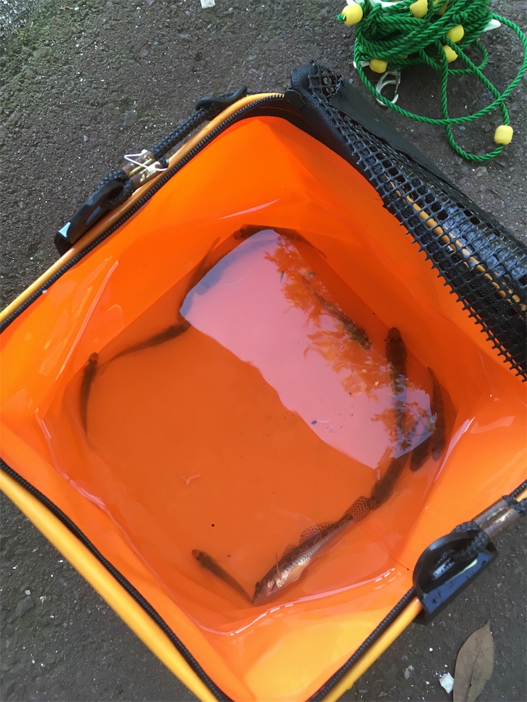 f:id:tsuritsuri:20170930162143j:image f:id:tsuritsuri:20170930162143j:image