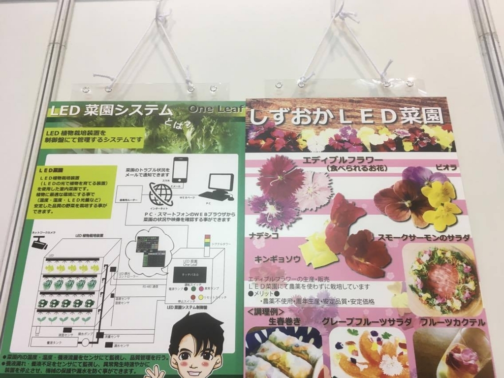 f:id:tsuritsuri:20171015195449j:plain