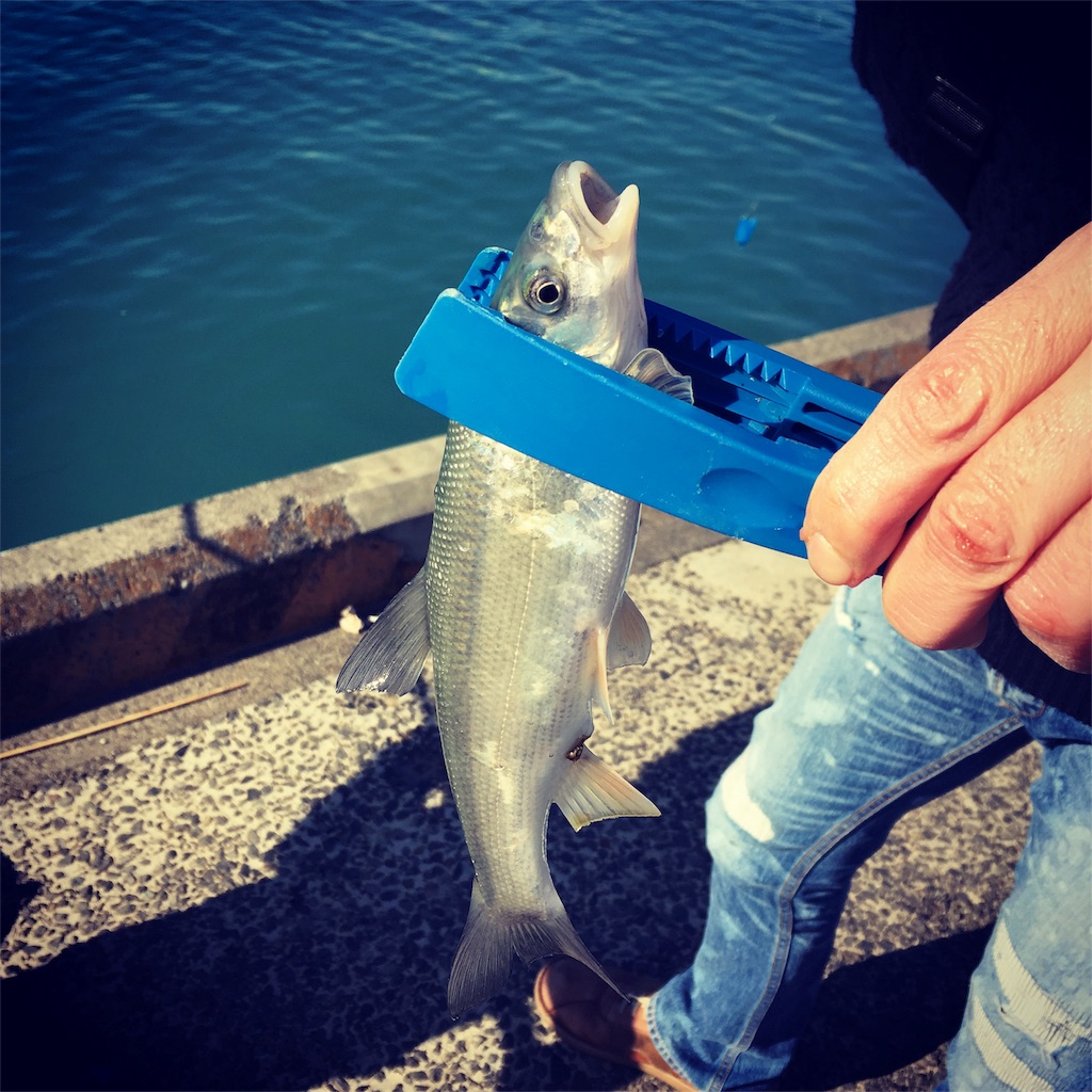 f:id:tsuritsuri:20171230211409j:image