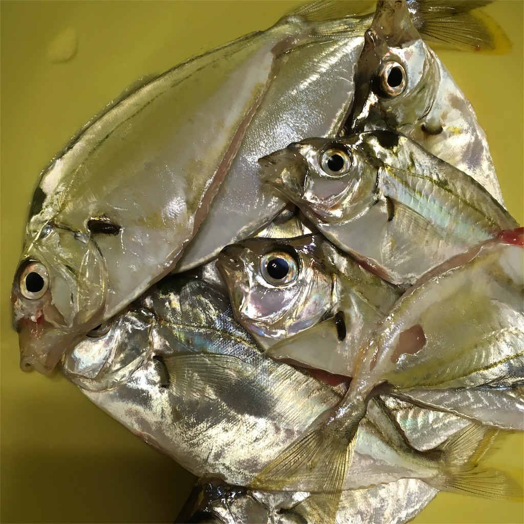 f:id:tsuritsuri:20171230211513j:image