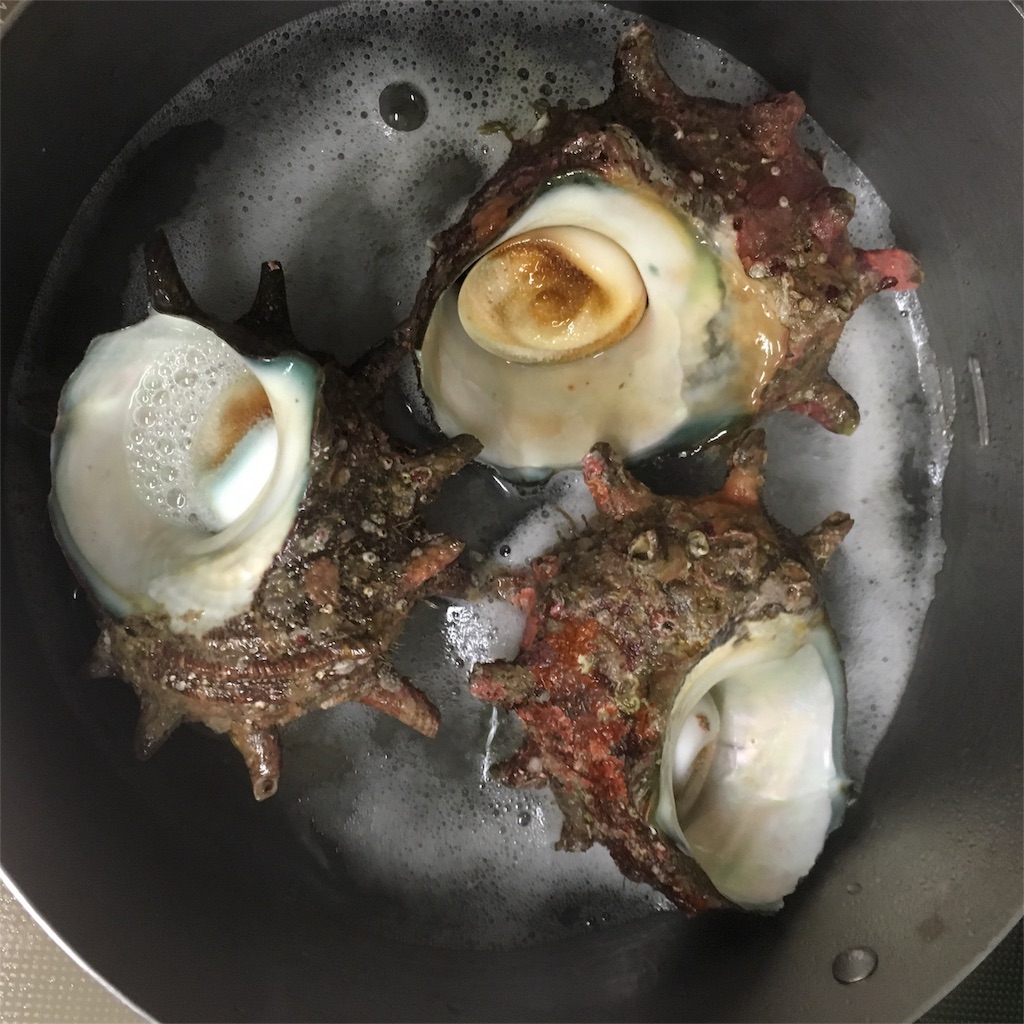 釣れなかったけどいい事あった サザエのバターつぼ焼き まいにちワイン ときどき釣り 釣れなかったけどいい事あった サザエのバターつぼ焼き まいにちワイン ときどき釣り