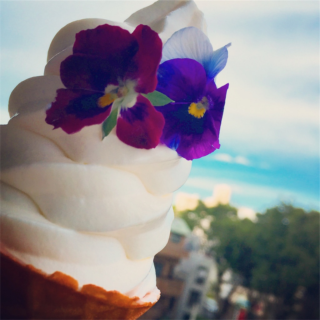 f:id:tsuritsuri:20180828211827j:plain