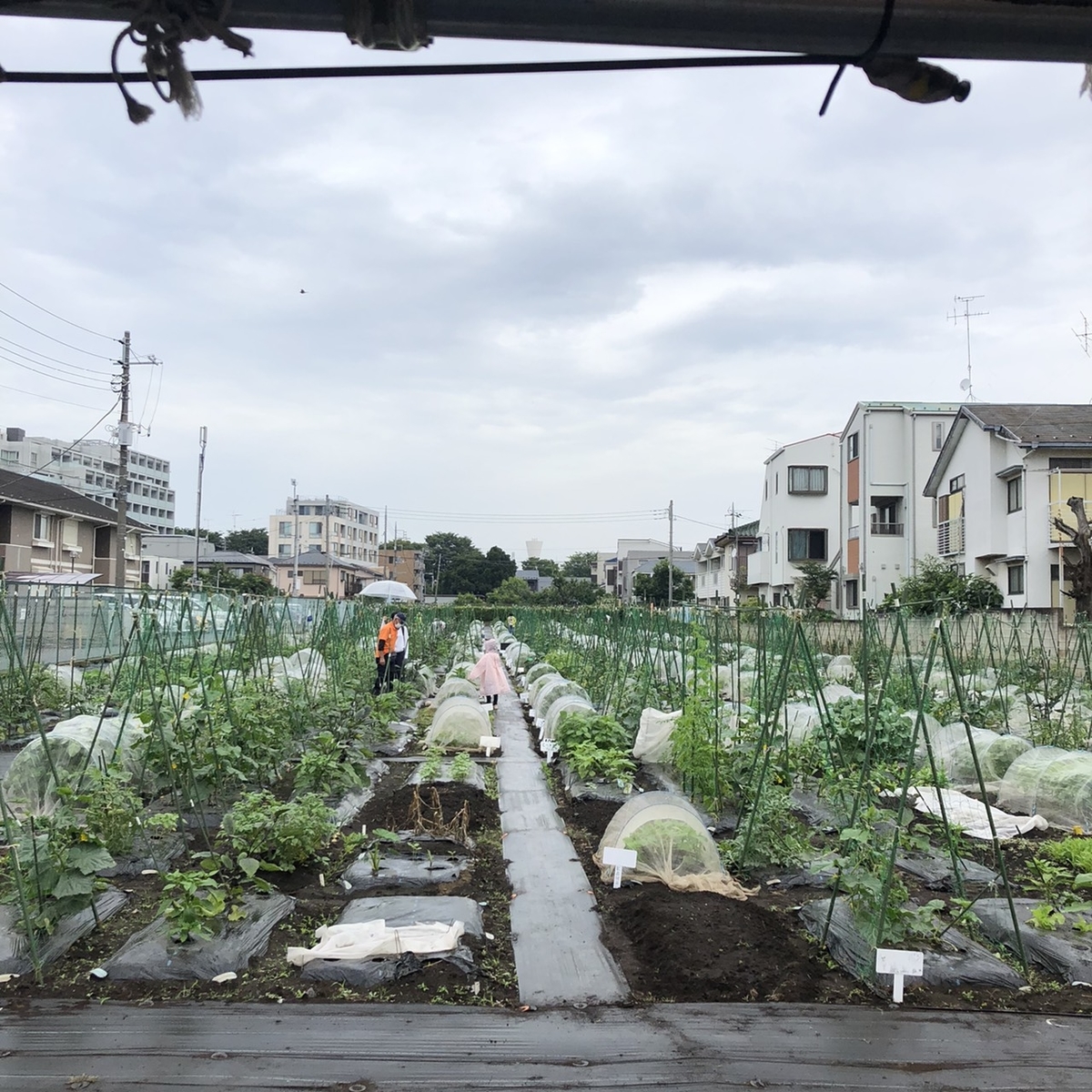 f:id:tsuritsuri:20210606223507j:plain