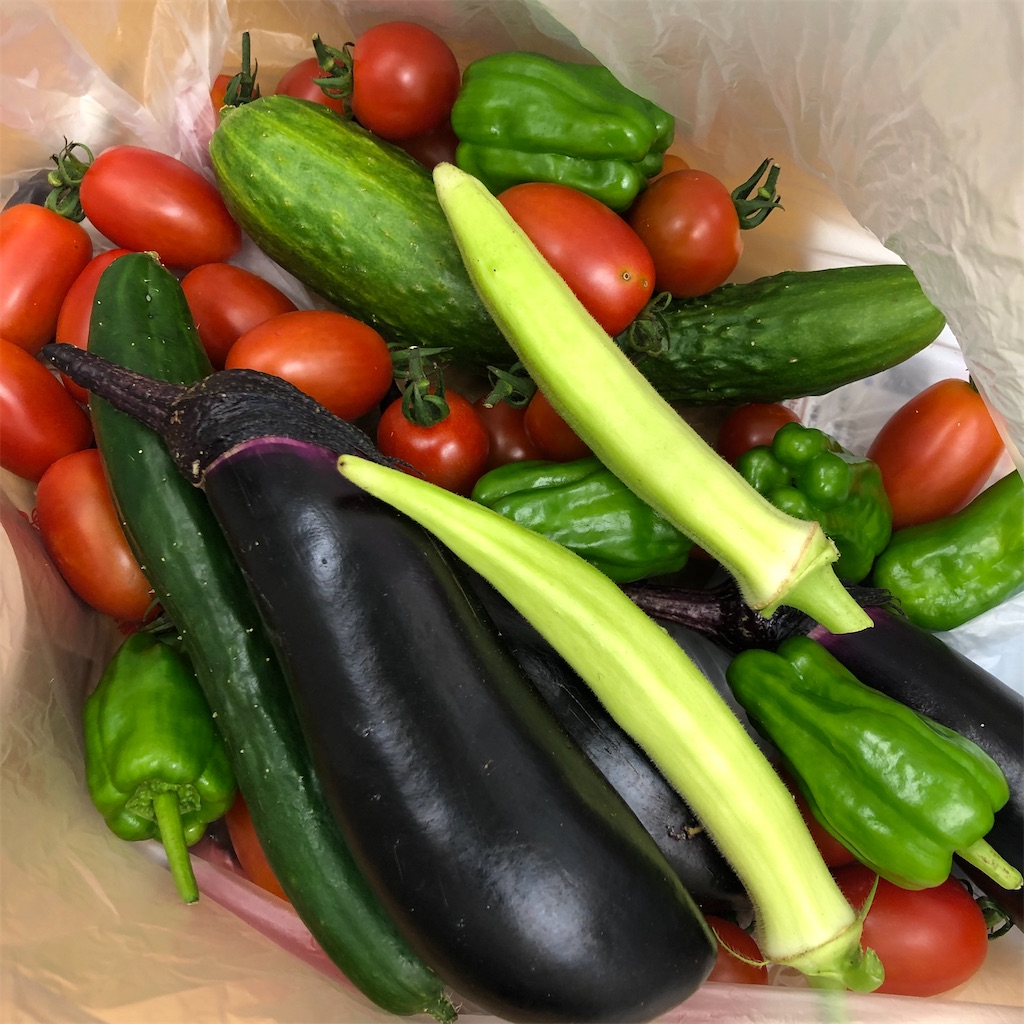 f:id:tsuritsuri:20210718212434j:image