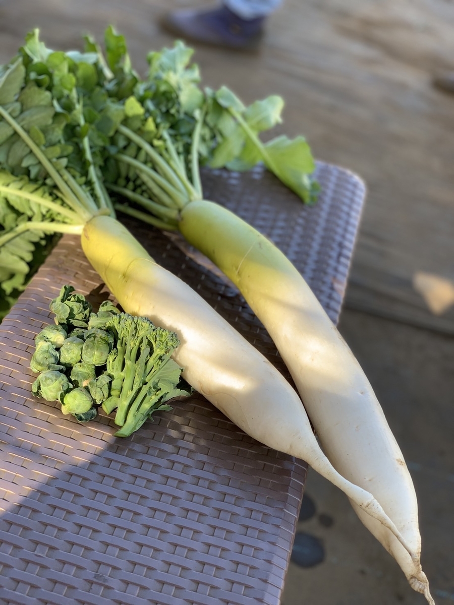 f:id:tsuritsuri:20211205233132j:plain