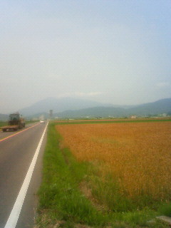 f:id:tsuru-585:20090614132200j:image