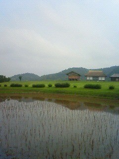 f:id:tsuru-585:20090614214034j:image