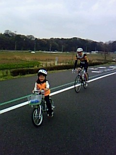f:id:tsuru-585:20100410171149j:image