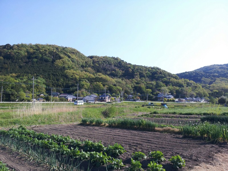 f:id:tsuru-585:20130427201802j:image:w640