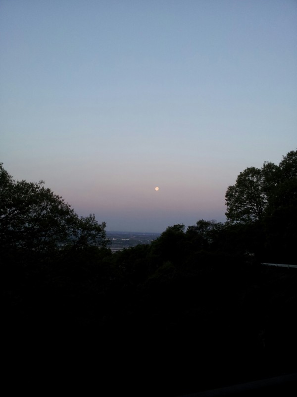 f:id:tsuru-585:20130427201855j:image:w640
