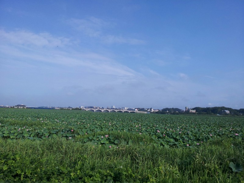 20130728105131