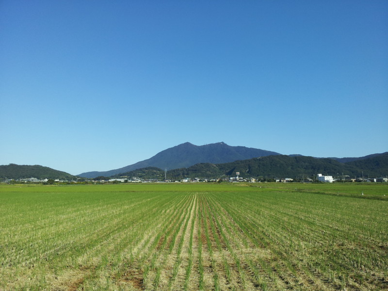 f:id:tsuru-585:20131013174239j:image:w640