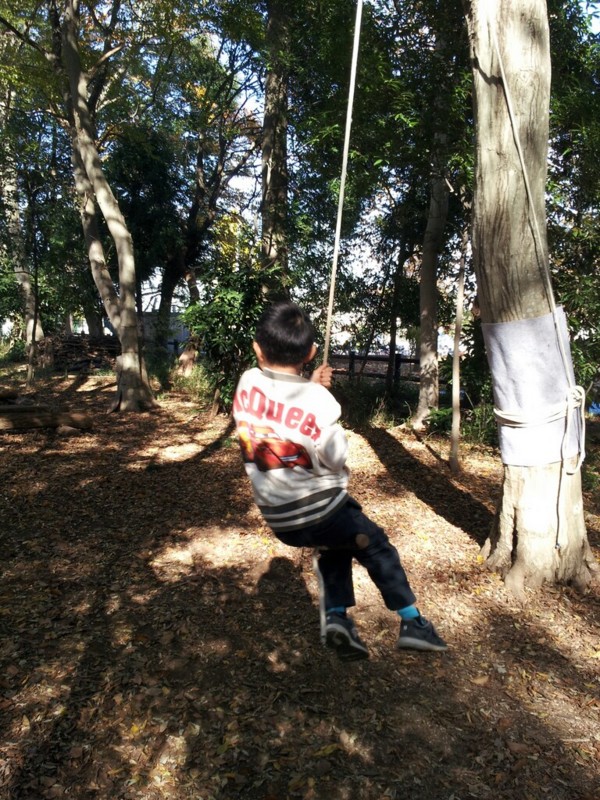 f:id:tsuru-585:20131130080731j:image:w360:left