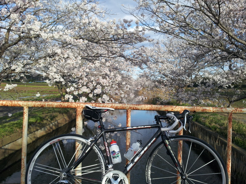 f:id:tsuru-585:20140405115126j:image:w640