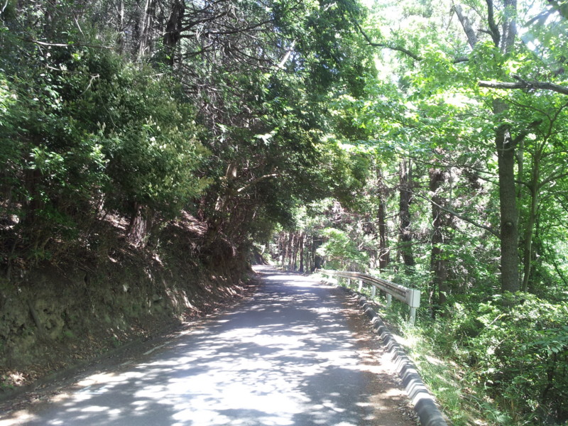 f:id:tsuru-585:20140519000407j:image:w360
