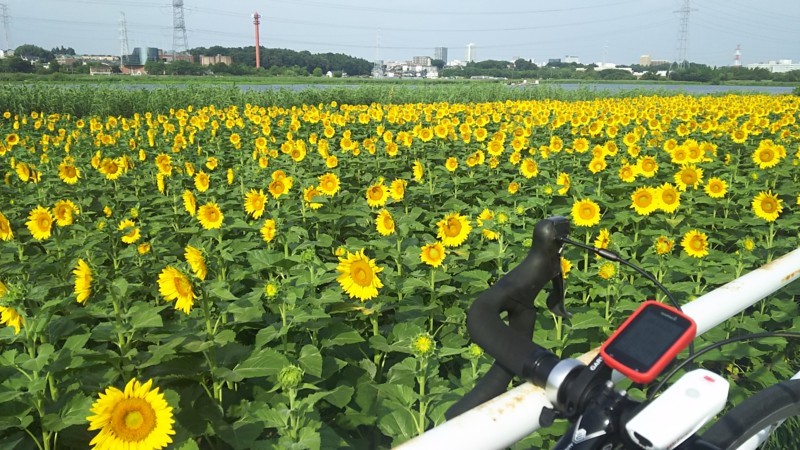 f:id:tsuru-585:20170722093215j:plain