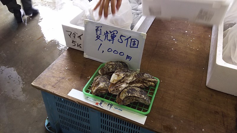 f:id:tsuru-585:20190608200735j:plain f:id:tsuru-585:20190608200735j:plain