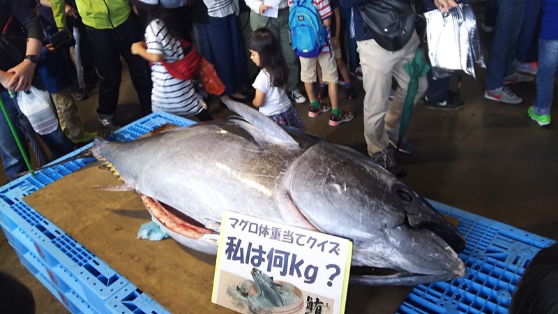 f:id:tsuru-585:20190616211150j:plain f:id:tsuru-585:20190616211150j:plain