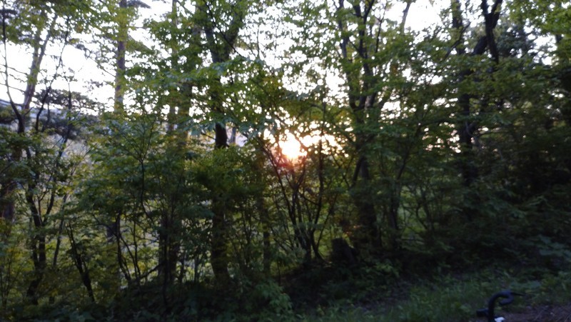 f:id:tsuru-585:20210510213103j:plain