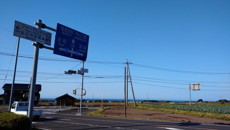 f:id:tsuru-585:20210510213114j:plain