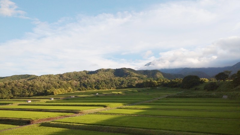 f:id:tsuru-585:20210718220644j:plain