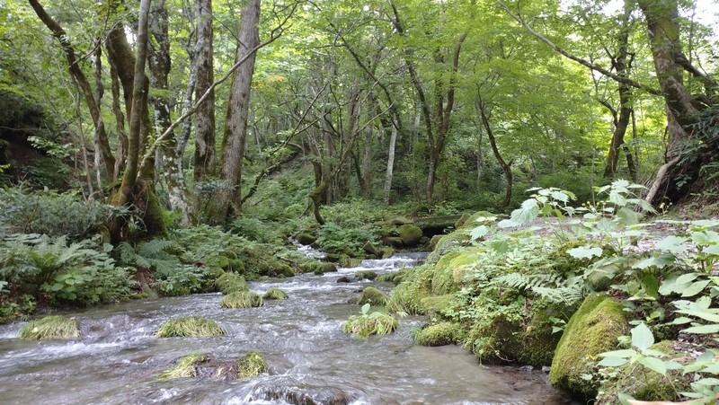 f:id:tsuru-585:20210718221028j:plain