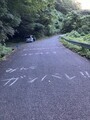 20250722145149