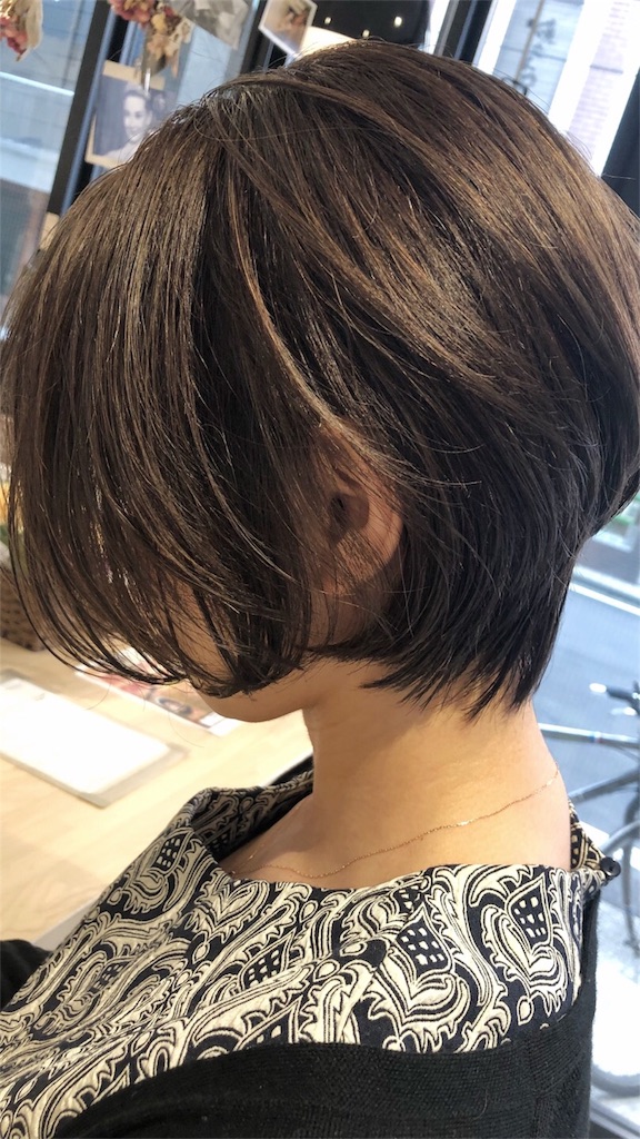 f:id:tsurugichishinji:20181006082409j:image f:id:tsurugichishinji:20181006082409j:image