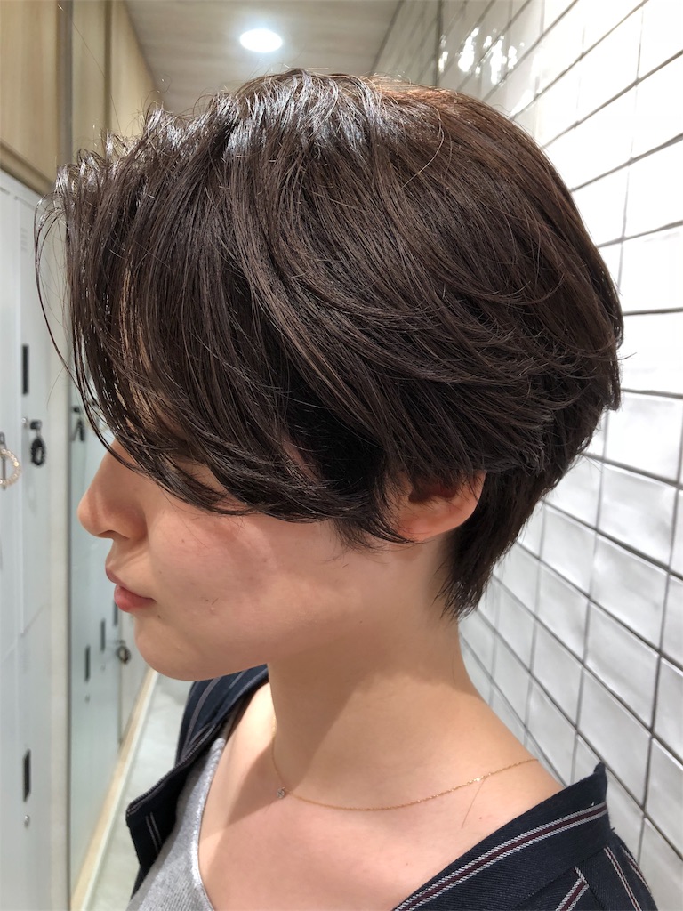 f:id:tsurugichishinji:20181006082537j:image f:id:tsurugichishinji:20181006082537j:image
