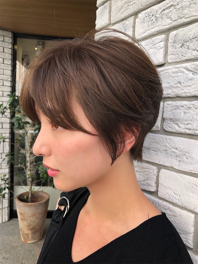 f:id:tsurugichishinji:20181006082623j:image f:id:tsurugichishinji:20181006082623j:image