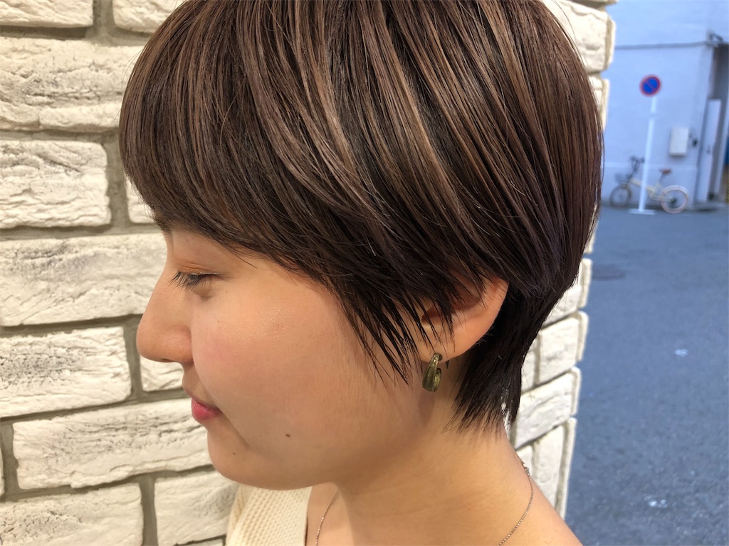 f:id:tsurugichishinji:20181006082653j:image f:id:tsurugichishinji:20181006082653j:image