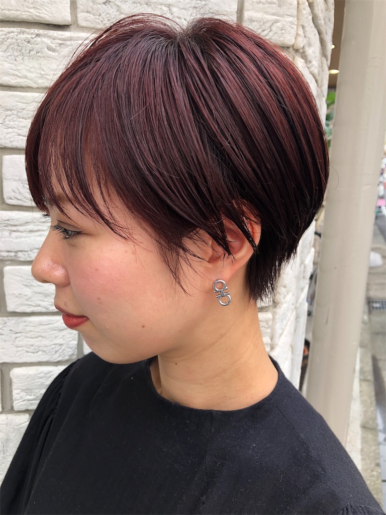 f:id:tsurugichishinji:20181006082723j:image f:id:tsurugichishinji:20181006082723j:image