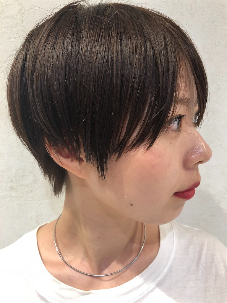 f:id:tsurugichishinji:20181008084434j:image f:id:tsurugichishinji:20181008084434j:image