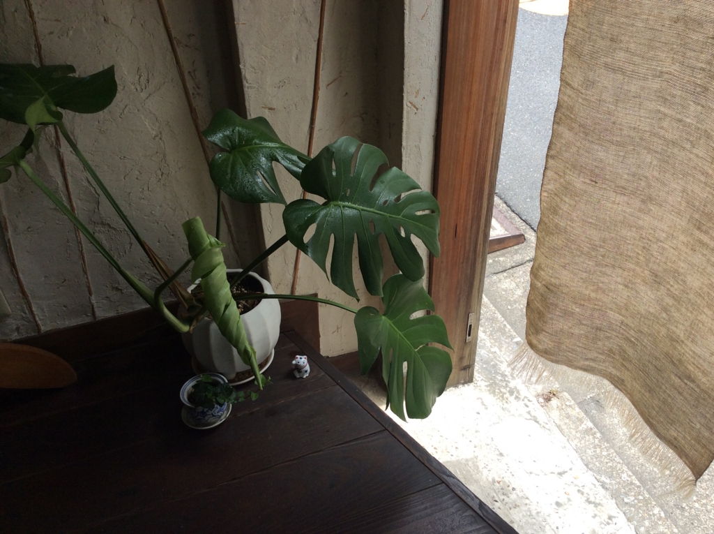 f:id:tsurujmame:20160704190512j:plain f:id:tsurujmame:20160704190512j:plain