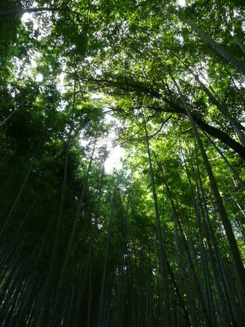 f:id:tsurukawah:20100124131545j:image f:id:tsurukawah:20100124131545j:image