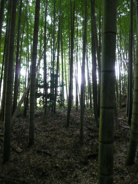 f:id:tsurukawah:20100124131610j:image f:id:tsurukawah:20100124131610j:image