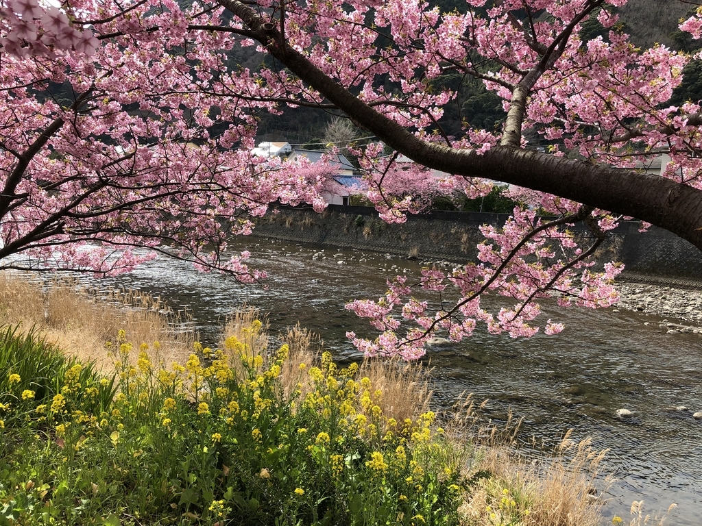 f:id:tsuruoka-eigo:20190304225507j:plain